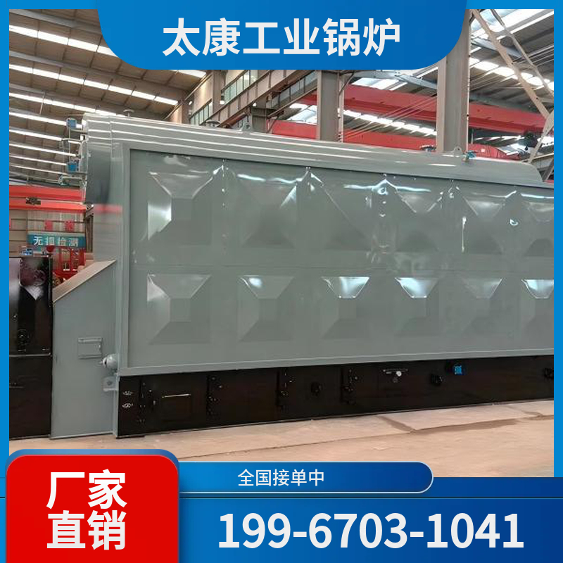 邵阳燃煤导热油锅炉