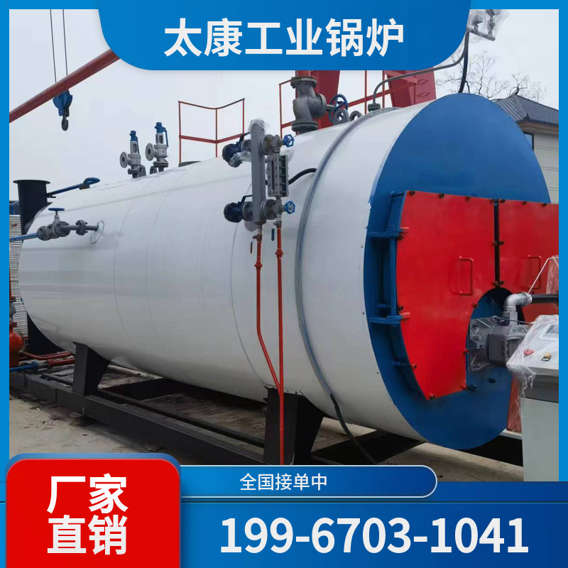 邵阳全预混低氮锅炉