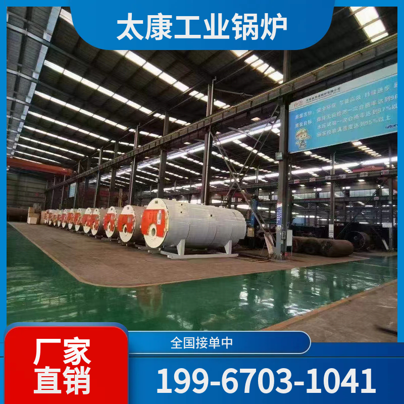 邵阳燃气导热油锅炉